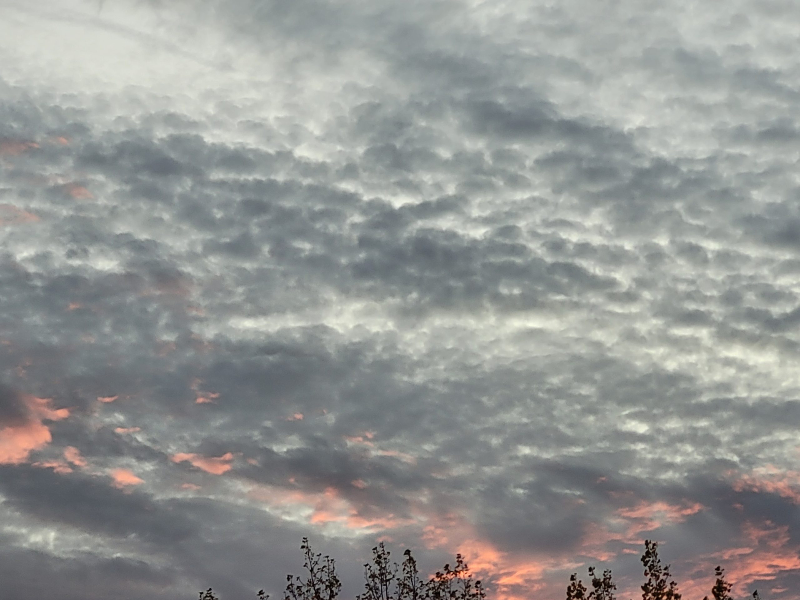 A speckled cloudy sky in shades of grey. Trees are peaking up from the bottom and an orange sky is peaking out from behind the clouds.